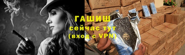 прущие грибы Снежногорск