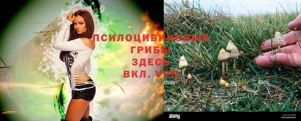 СК Слюдянка