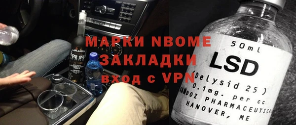 прущие грибы Снежногорск