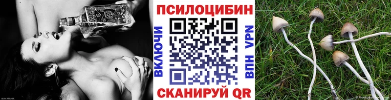 Псилоцибиновые грибы ЛСД  цены   Дорогобуж 